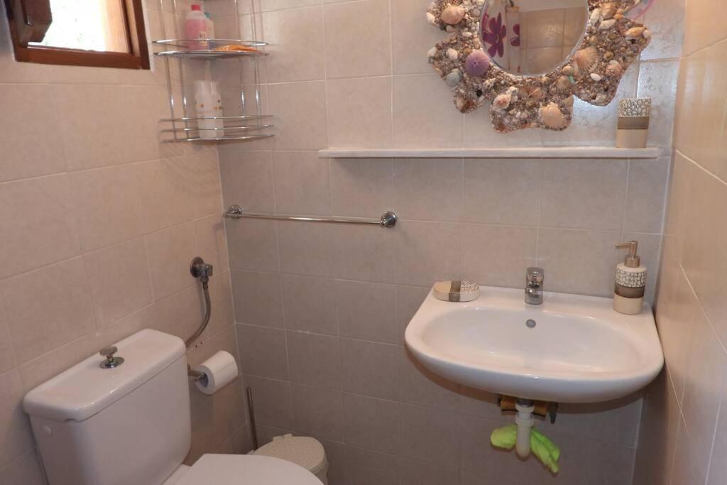 Traditional Villa Efterpi Chalki Town Luaran gambar